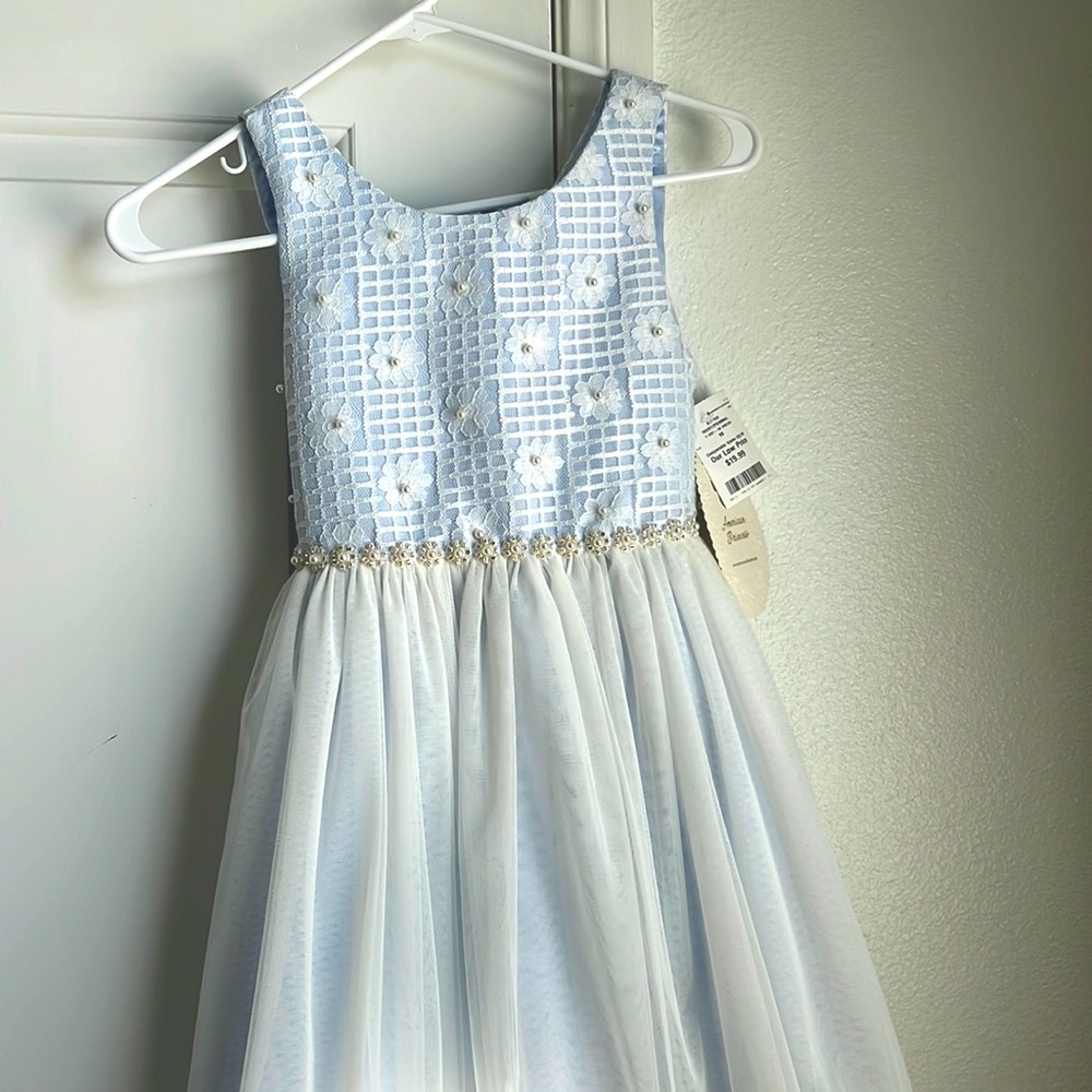 BEAUTIFUL AMERICAN PRINCESS DRESS